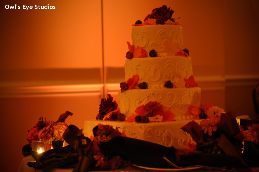 Hudson Valley Wedding DJ Bri Swatek Cake Uplighting Links at Union Vale Owls Eye Studios