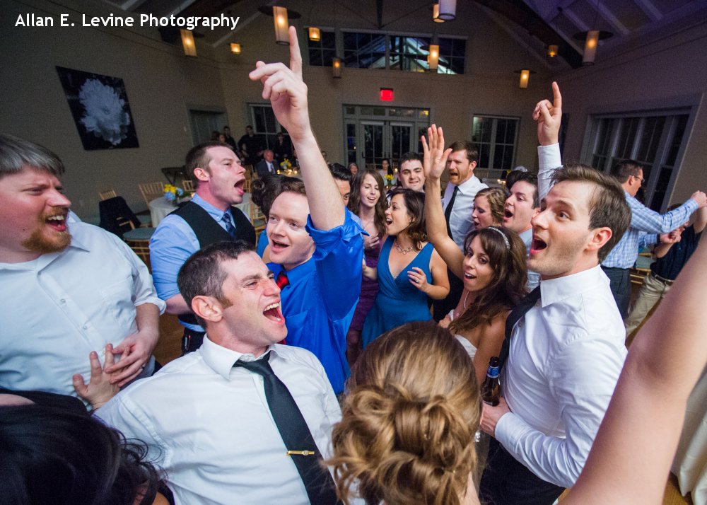 Hudson Valley Wedding DJ Bri Swatek Dance Party Locust Grove Allan E Levine Photography 1000